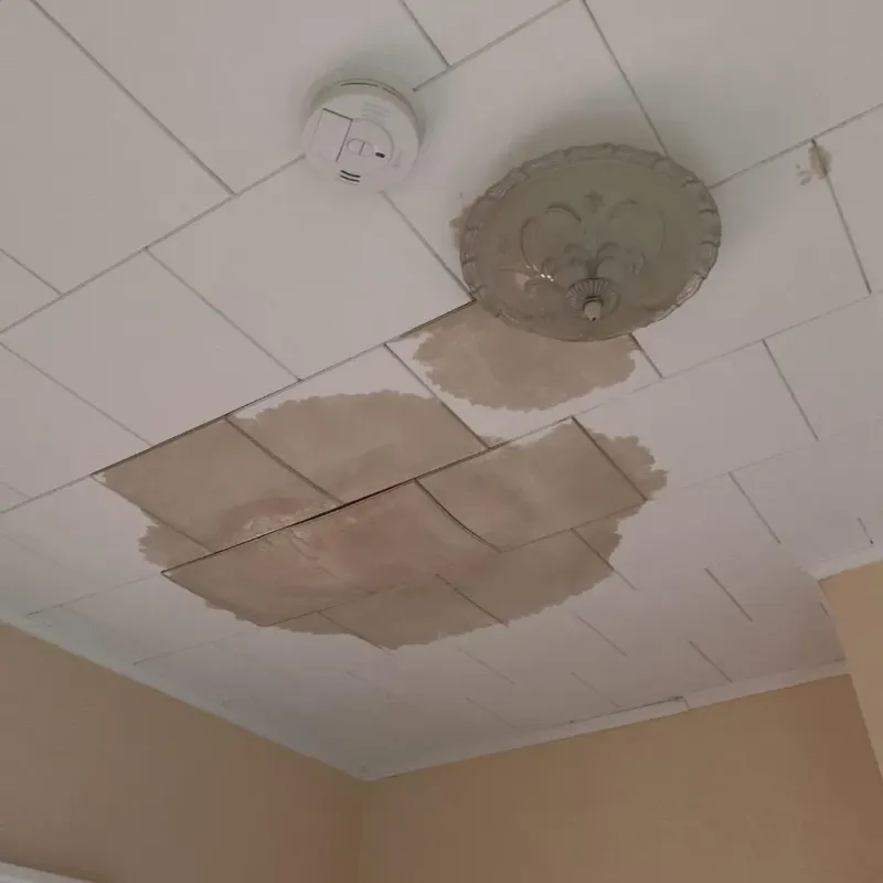 Ceiling Water Damage Repair in Ford City, PA