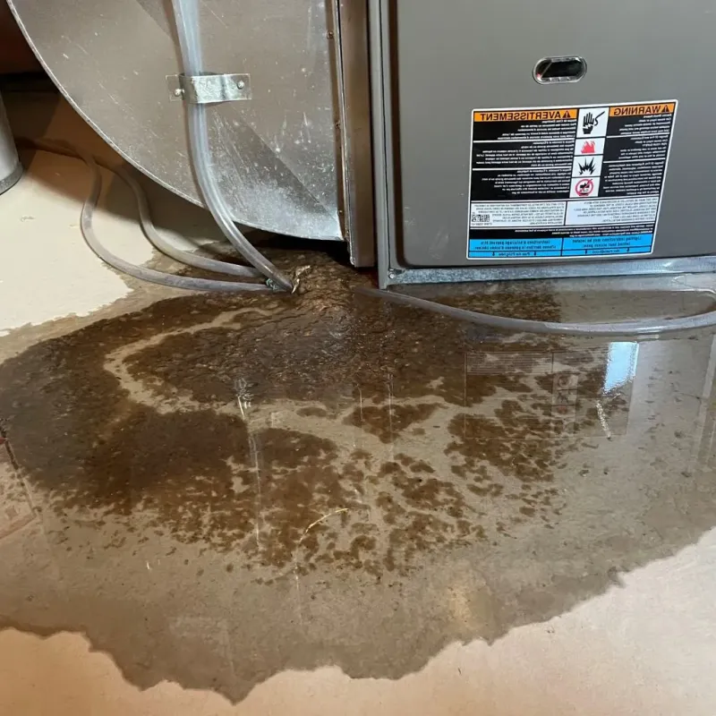 Pipe Burst and Leak Restoration in Ford City, PA